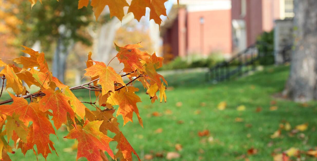 Fall Color Gradually Appearing in Ohio with Vibrant Colors on the Way